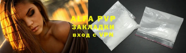 ешки Белокуриха