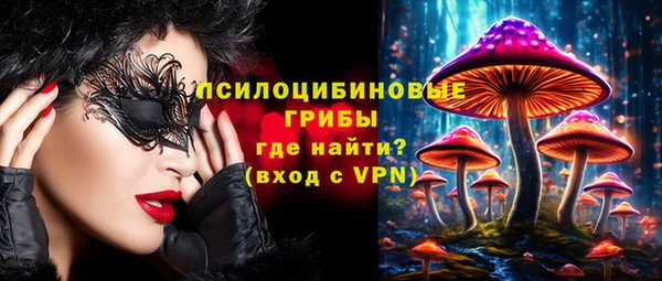 ешки Белокуриха